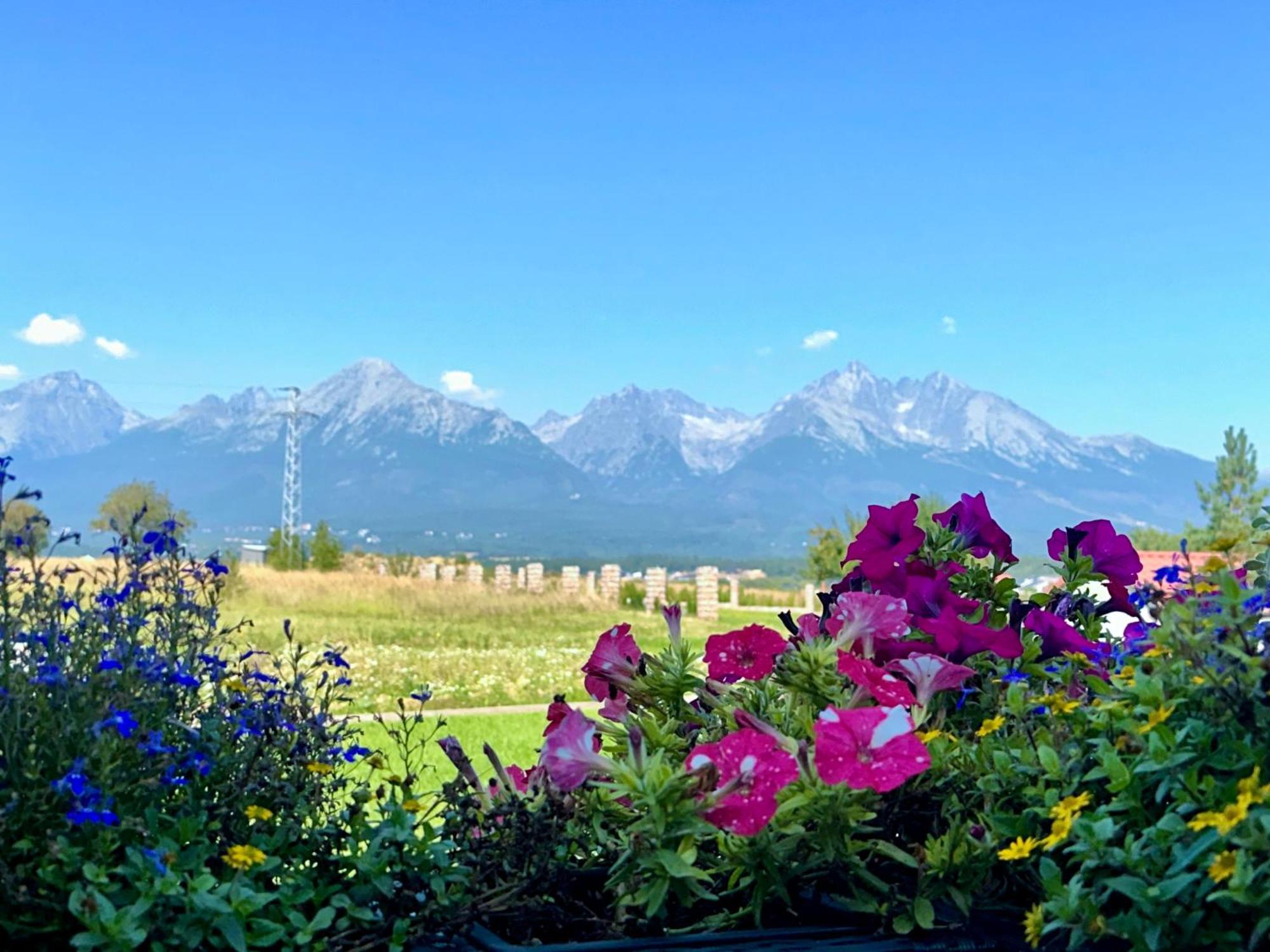 Vysoke Tatry - Isc Resort House For 13 People With 6 Extra Bed 포프라트 외부 사진